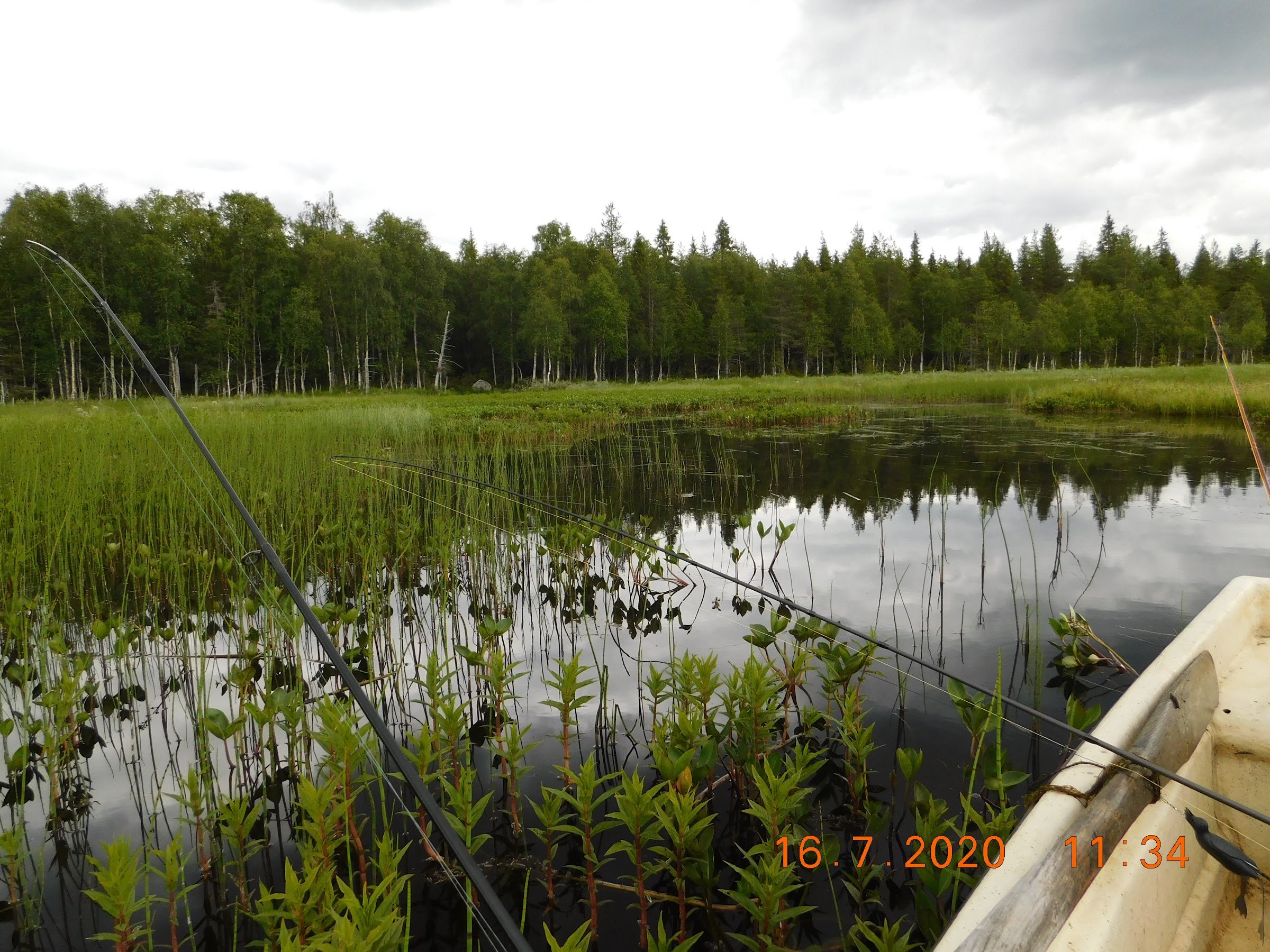 Natursafari i Abborrträsk
